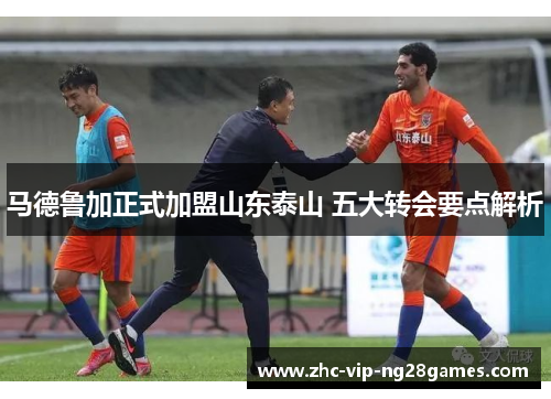 马德鲁加正式加盟山东泰山 五大转会要点解析