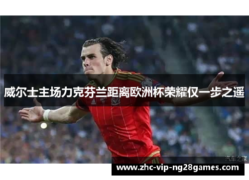 威尔士主场力克芬兰距离欧洲杯荣耀仅一步之遥 威尔士主场力克芬兰距离欧洲杯荣耀仅一步之遥